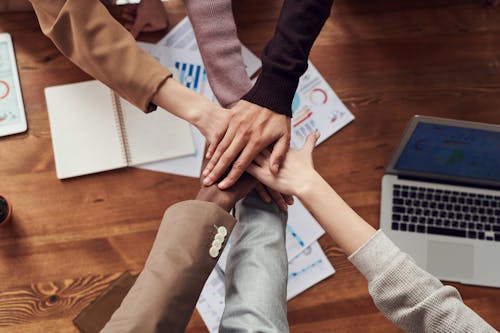 Collaboration et synergie d'équipe autour de l'écosystème logiciel Zoho.